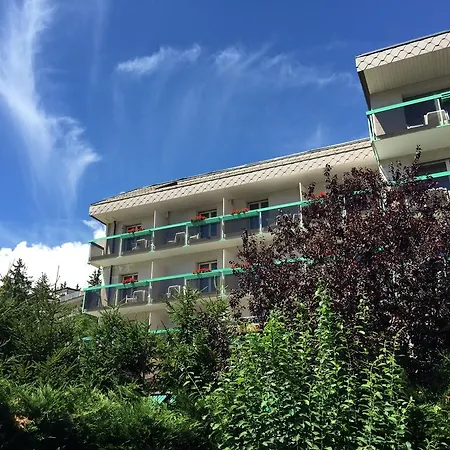 Le Green Economy 克莱恩 蒙塔纳